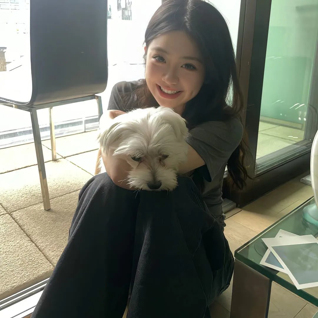 12把椅子